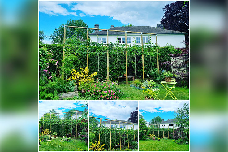plantation