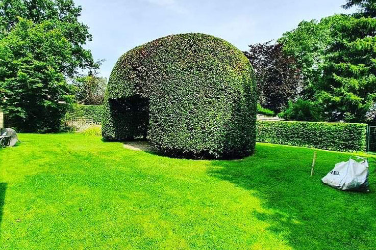 taille de buisson