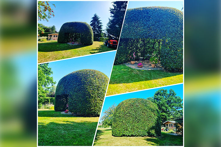 taille de buisson
