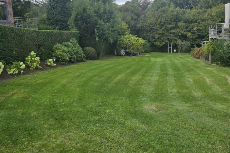 tonte et pulvérisation 1