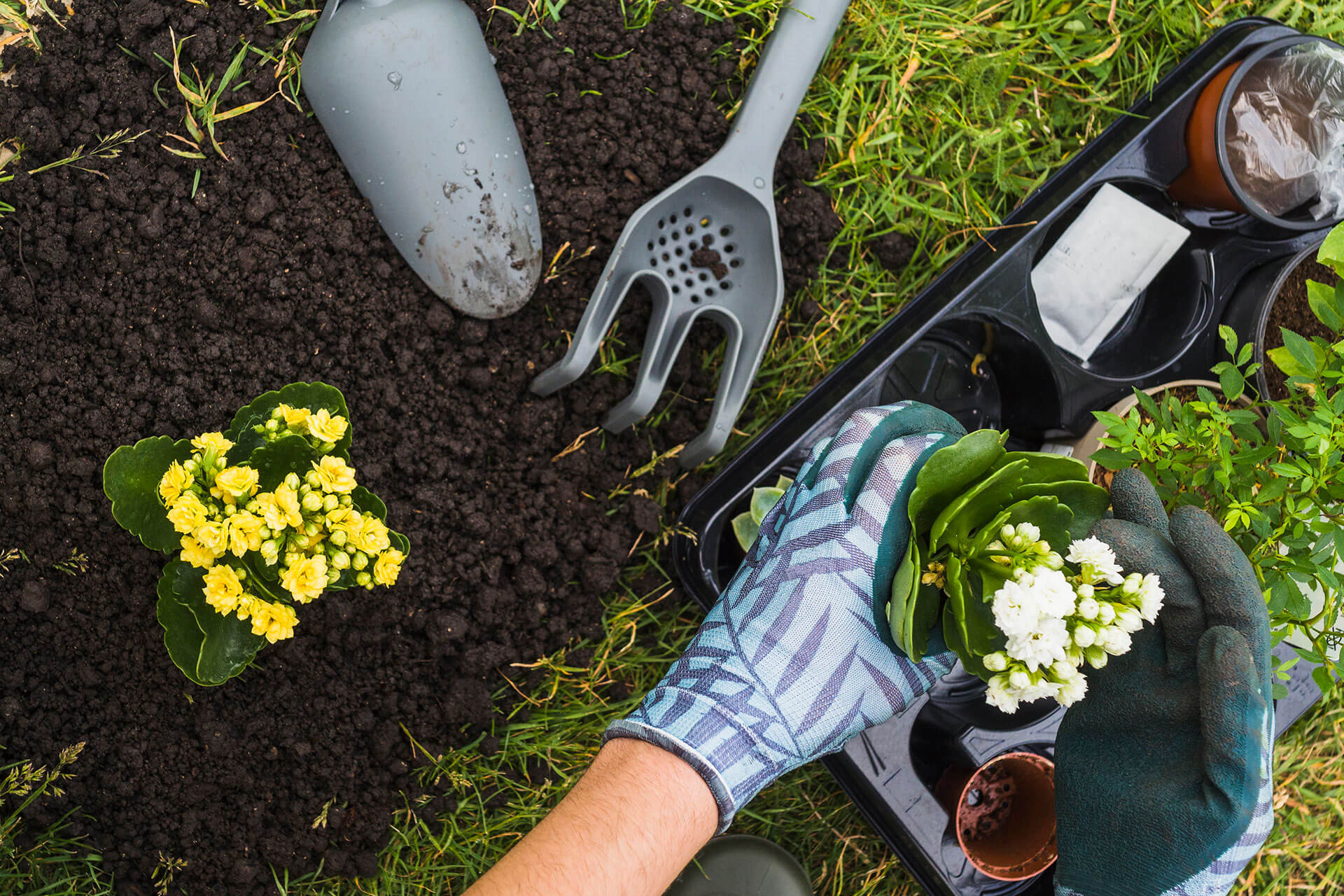 Quis ipsum suspendisse ultrices gravida.